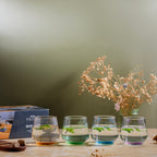 YERA Prima Morocco Green Bar Glass, 300ml, Set of 6 – Premium Color Glassware