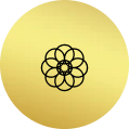Versatile and Valuable icon
